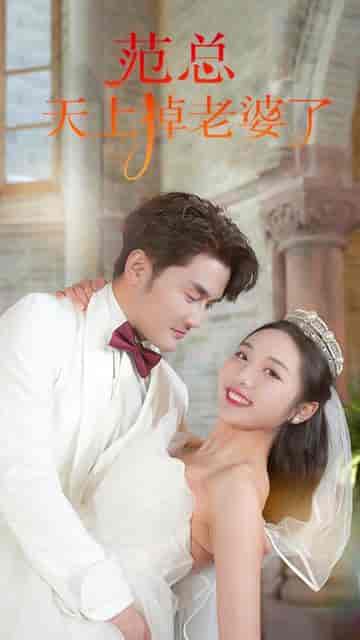 范总,天上掉老婆了(78集)-紫橙资源网