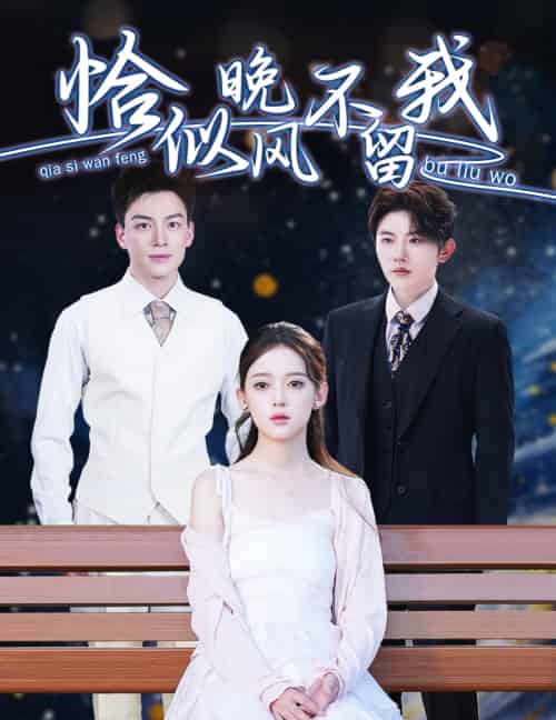 恰似晚风不留我＆弃他如风（51集）黄帅帅＆唐敬-紫橙资源网