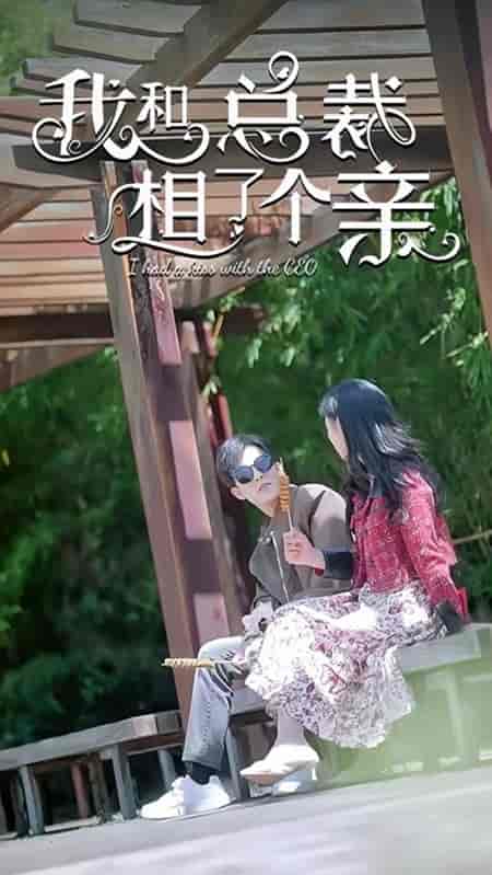 我和总裁相了个亲(90集)姚冠宇-紫橙资源网