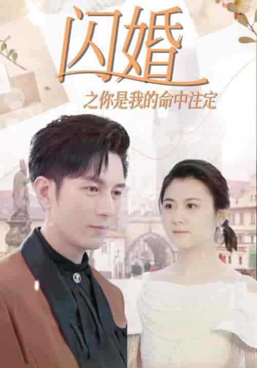 闪婚之你是我的命中注定（82集全）宋远洲＆白苏-紫橙资源网