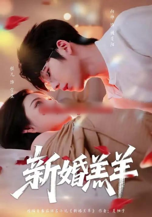 新婚羔羊（89集全）向帅＆程儿-紫橙资源网