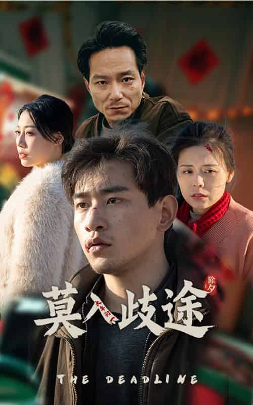 莫入歧途（30集全）-紫橙资源网