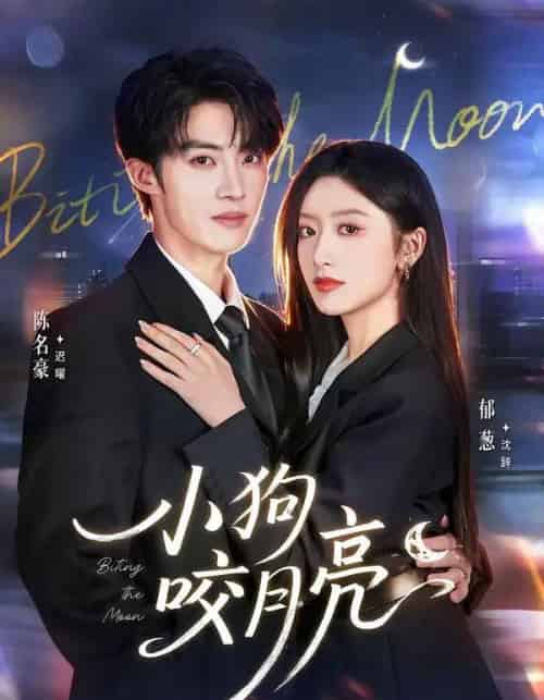 小狗咬月亮(66集全)陈名豪&郁葱-紫橙资源网