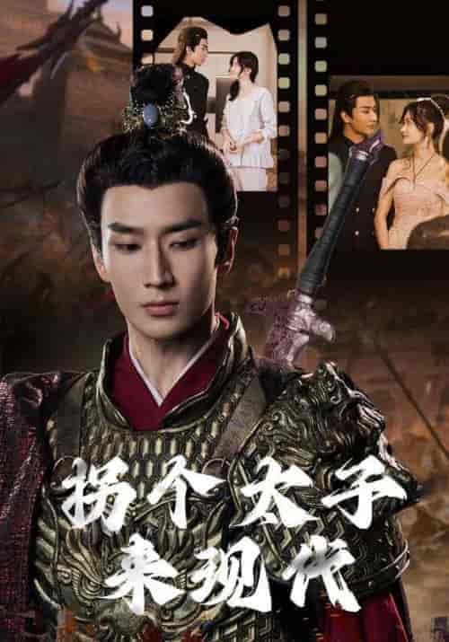 拐个太子来现代（79集全）-紫橙资源网