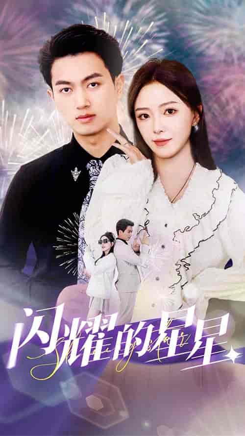 闪耀的星星＆盛总你找错白月光了（89集）-紫橙资源网