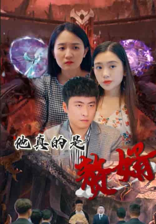 他真的是赘婿（48集全）秦臻＆陈对对 - 紫橙短剧