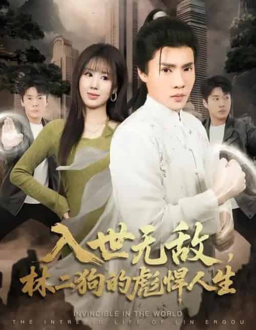 入世无敌,林二狗的彪悍人生(70集全)黄佳俊&朱梦怡-紫橙资源网