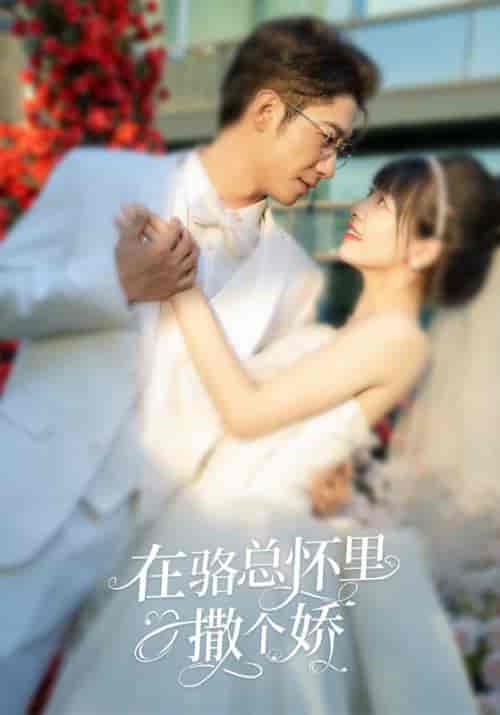 在骆总怀里撒个娇(87集)-紫橙资源网