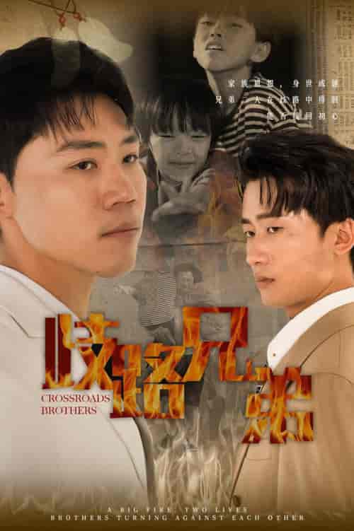 歧路兄弟（63集全）-紫橙资源网