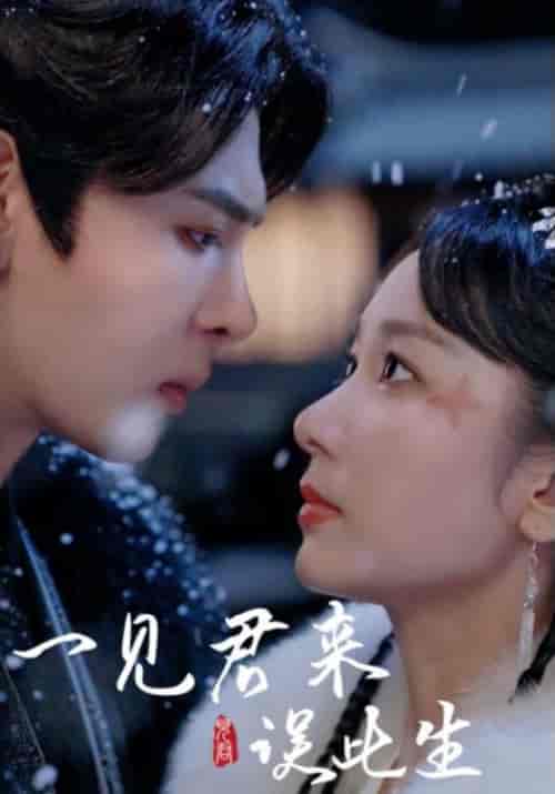 一见君来误此生（95集）-紫橙资源网