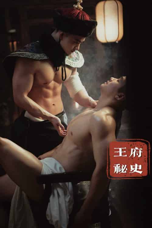 王府秘史（腐剧） - 紫橙短剧