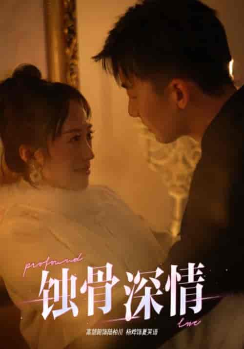 蚀骨深情（54集全）-紫橙资源网