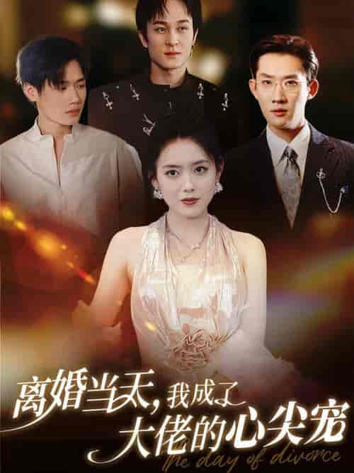 离婚当天我成了大佬的心尖宠（60集全）韩一思＆彭娜莎-紫橙资源网
