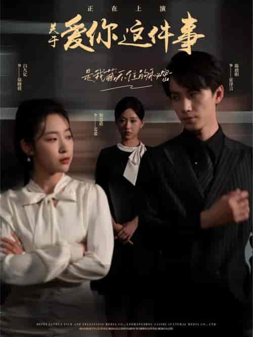 关于爱你这件事(83集)柴慧欣-紫橙资源网