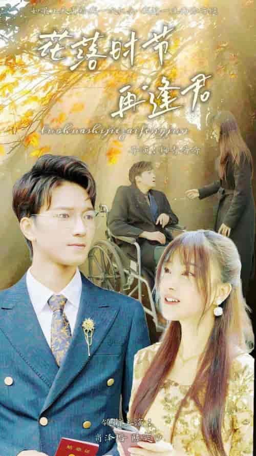 落花时节再逢君（82集）-紫橙资源网