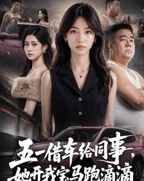五一借车给同事,她开我宝马跑滴滴(60集全)AI-紫橙资源网