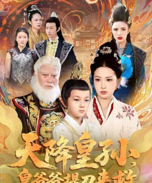 天降皇孙，皇爷爷提刀来救（90集全）梅瑞滢＆李仲桓-紫橙资源网