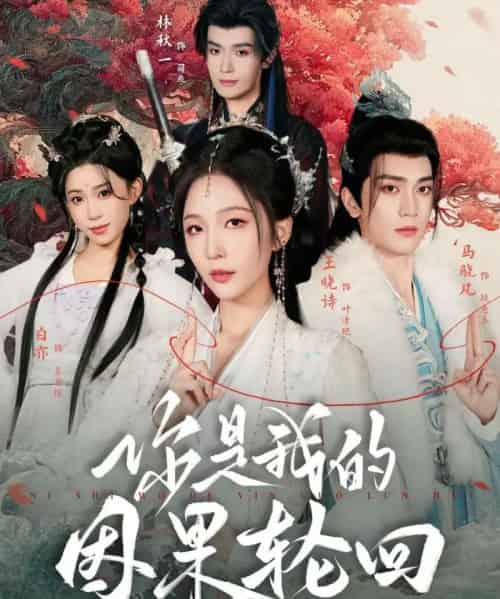 你是我的因果轮回（100集全）王晓诗＆马晓凡-紫橙资源网