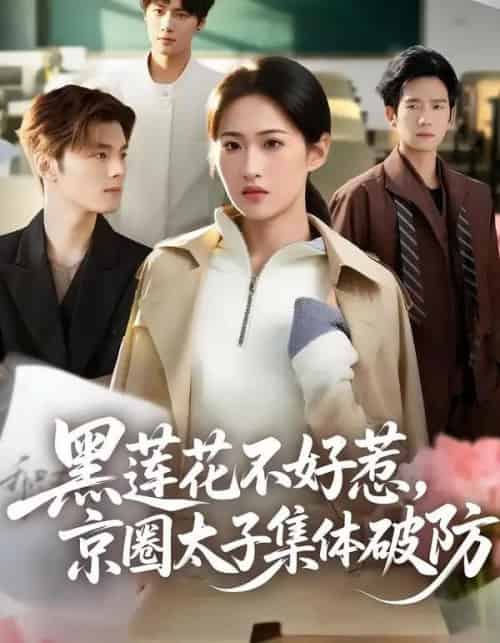 黑莲花不好惹,京圈太子集体破防(53集全)申晴&彭瑞风-紫橙资源网