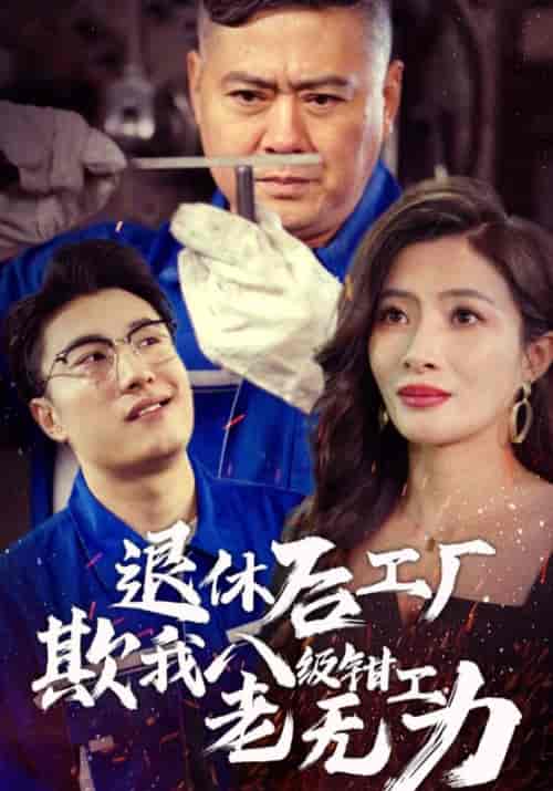 退休后工厂欺我八级钳工老无力（35集全）-紫橙资源网