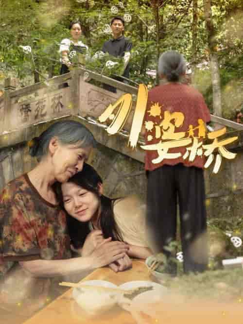 外婆桥（41集全）-紫橙资源网