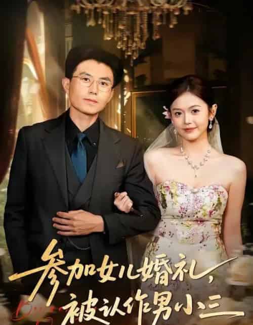 参加女儿婚礼，被认作男小三（36集全）单华清＆姚婉婷-紫橙资源网