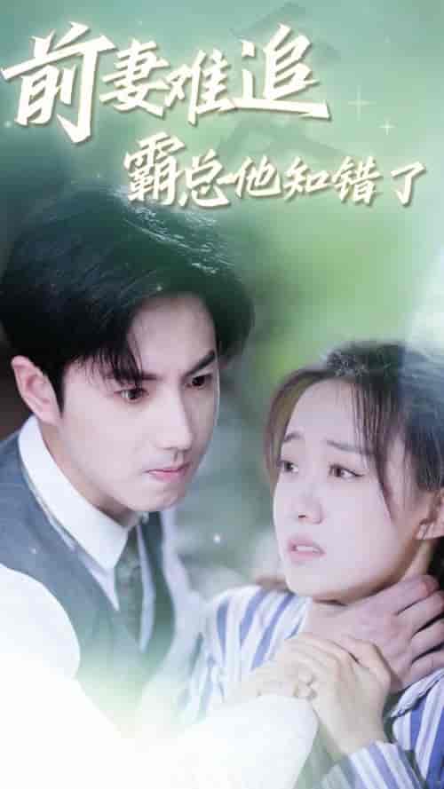 前妻难追，霸总他知错了（87集）侯呈月-紫橙资源网