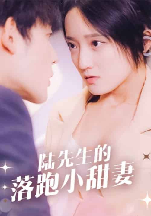 陆先生的落跑小甜妻（85集全）陆时晏＆苏心语-紫橙资源网