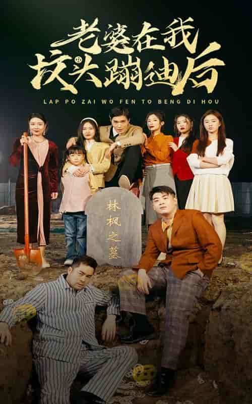 老婆在我坟头蹦迪后（80集）-紫橙资源网