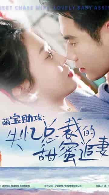 萌宝助攻：失忆总裁的甜蜜追妻（88集）-紫橙资源网