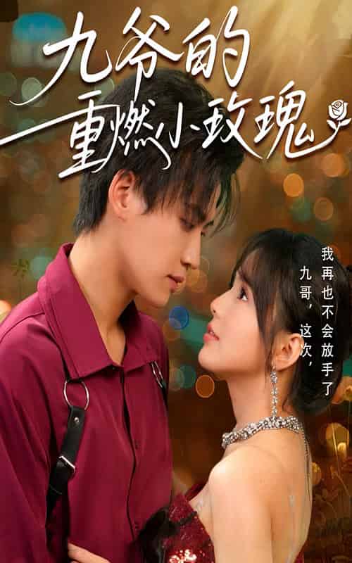 九爷的重燃小玫瑰（67集）罗琼＆张洪鸣-紫橙资源网
