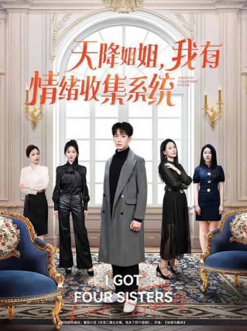 天降姐姐,我有情绪收集全系统(80集全)张涵&王佳琪&辛润茜&钟嘉玲&远霞-紫橙资源网