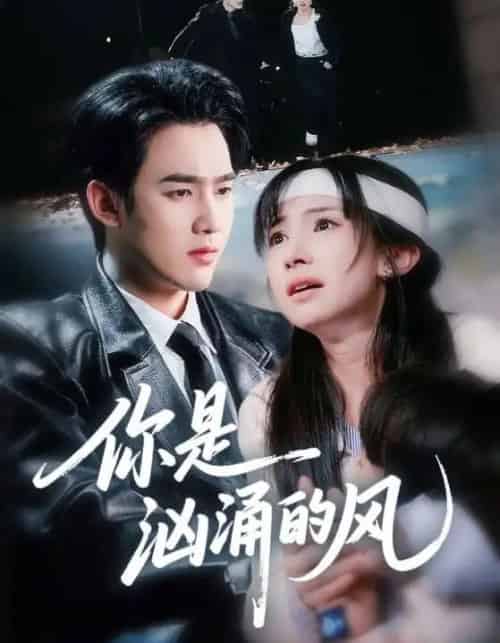你是汹涌的风（70集全）孙艺荀＆杨紫艺-紫橙资源网