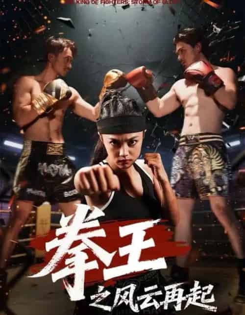 拳王之风云再起（50集全）夏巧戈＆王城-紫橙资源网