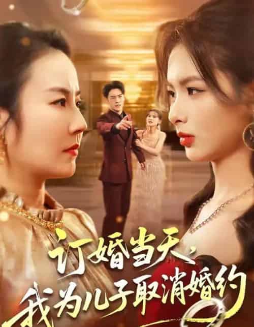订婚当天,我为儿子取消婚约(50集全)彭小容&刘威兵-紫橙资源网