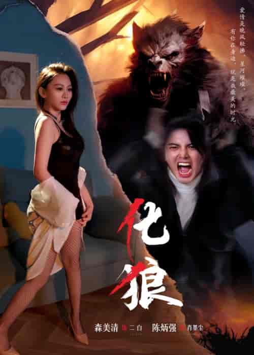 化狼（81集）孙佳-紫橙资源网