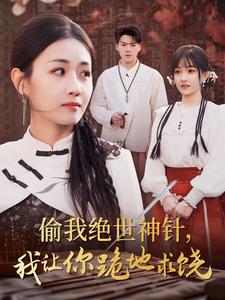 偷我绝世神针我让你跪地求饶（30集全）-紫橙资源网