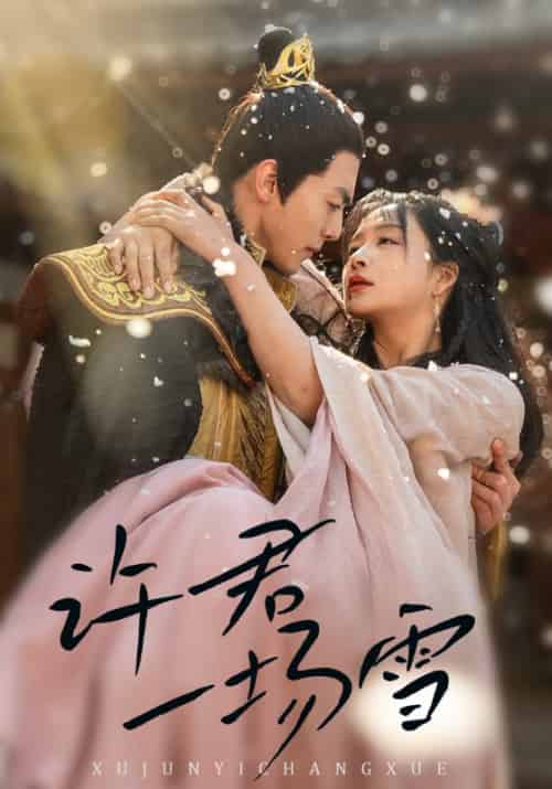 许君一场雪（43集全）徐幕白＆许君雪-紫橙资源网
