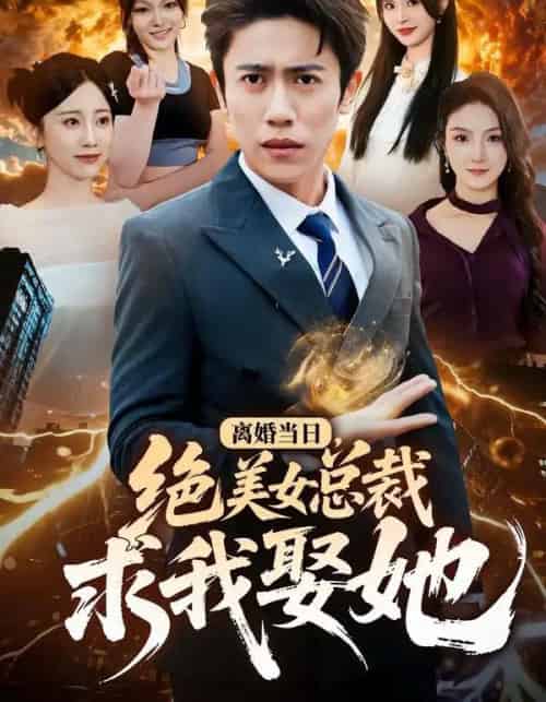 离婚当日，绝美女总裁求我娶她（81集全）周越＆顾嘉轩-紫橙资源网