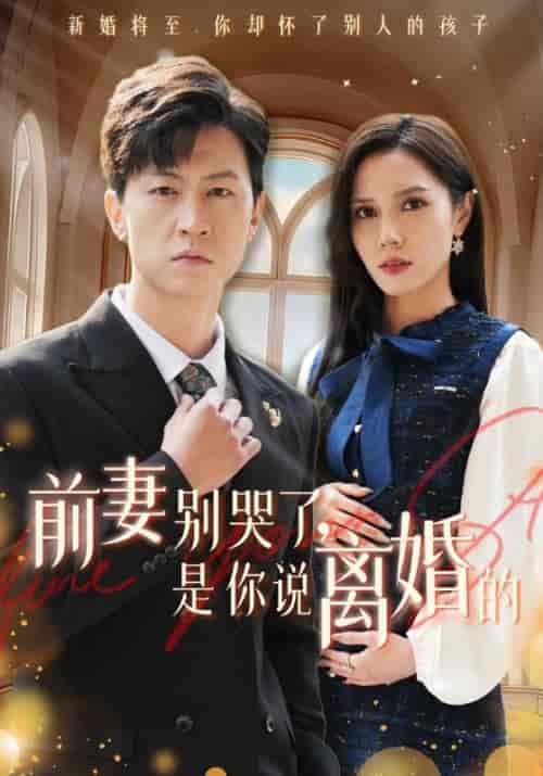 前妻别哭了是你说离婚的(42集全)-紫橙资源网