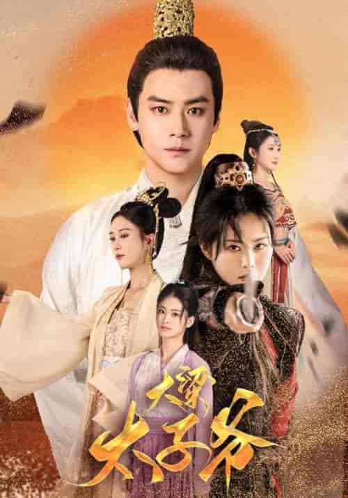 大梁太子爷（90集）-紫橙资源网