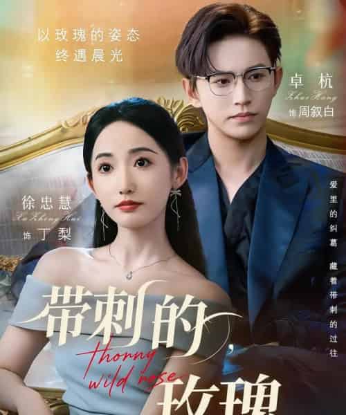 带刺的玫瑰＆带刺的野玫瑰（56集）卓杭＆徐忠慧-紫橙资源网