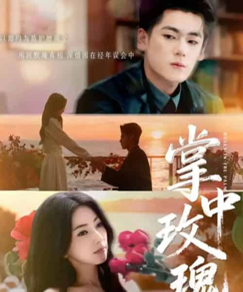 掌中玫瑰＆逃离你拥抱你（60集全）聂基坤＆冶梓-紫橙资源网