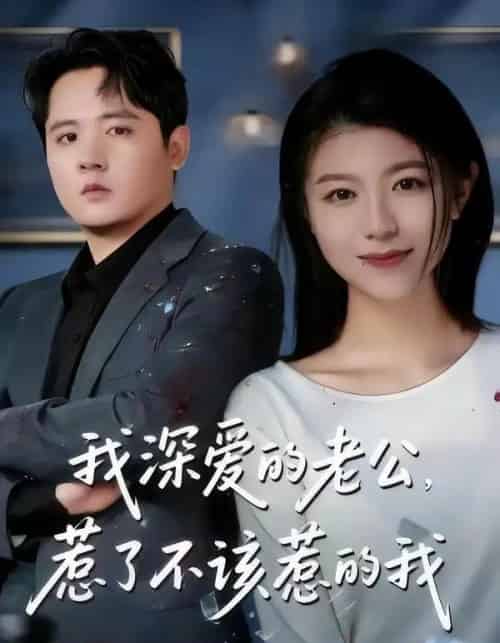 我深爱的老公，惹了不该惹的我（60集全）白龙＆韩严非-紫橙资源网