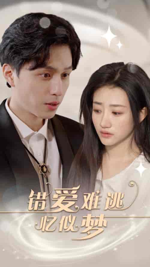 错爱难逃忆似梦（95集）鲍治玥-紫橙资源网