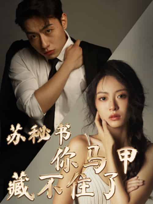 苏秘书你马甲藏不住了（82集全）苏达＆苏晓薇-紫橙资源网