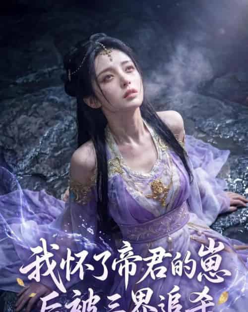 我怀了帝君的崽后被三界追杀（25集全）AI-紫橙资源网