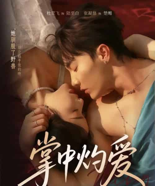 掌中灼爱（62集全）杜亚飞＆张凝慈-紫橙资源网