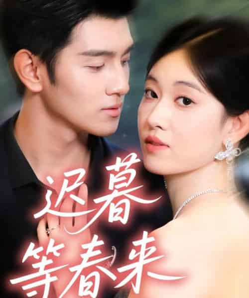 迟暮等春来（63集全）何佳妮＆李隆泽-紫橙资源网