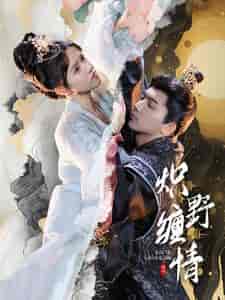 炽野缠情（95集全）-紫橙资源网